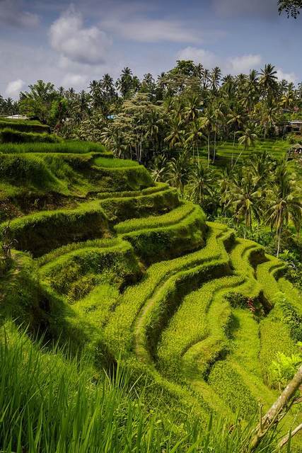 Bali all-inclusive, 7 nights