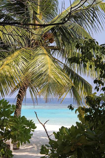 Maldives all-inclusive, 7 nights